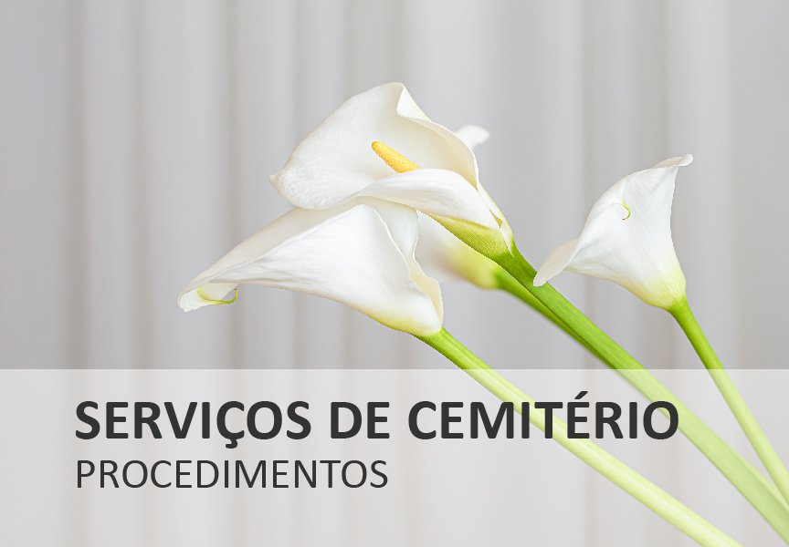 Serviços de Cemitério - Novos Procedimentos - Covid 19