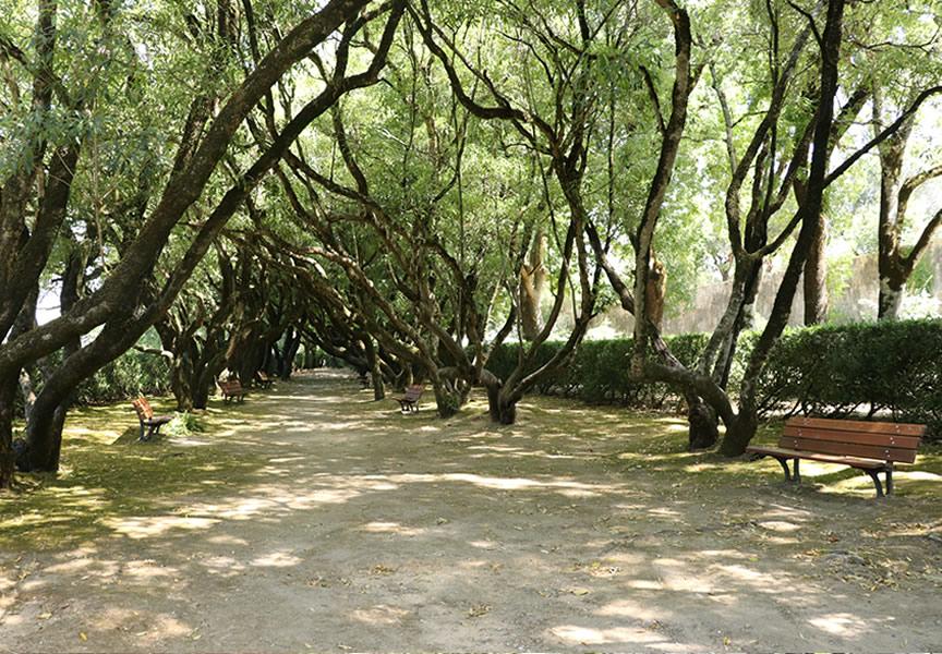 Jardins da Quinta Nova da Assunção